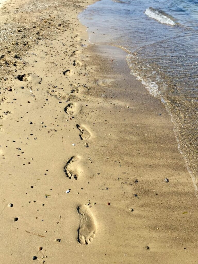 footprints, beach, sand, steps, sea, barefoot, summer, footprint, water, nature, coast, sandy beach, hike, walk on the beach, north sea, vacations, walk, footprints, footprints, footprints, beach, footprint, footprint, footprint, footprint, footprint
